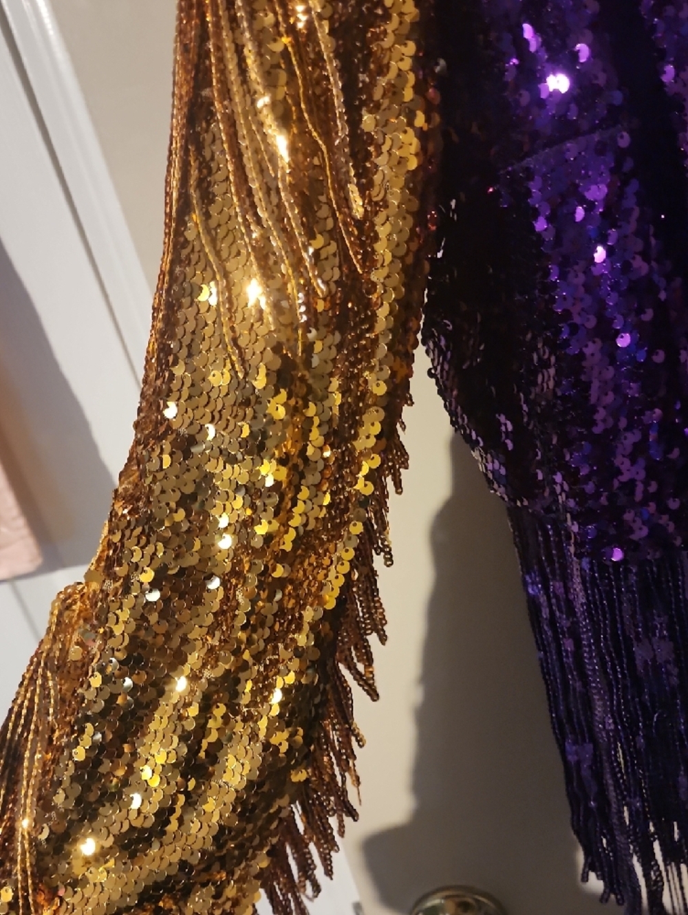 BiBi Purple Sequin Fringe Top with Gold & Green Sleeves - Picture 3 of 3